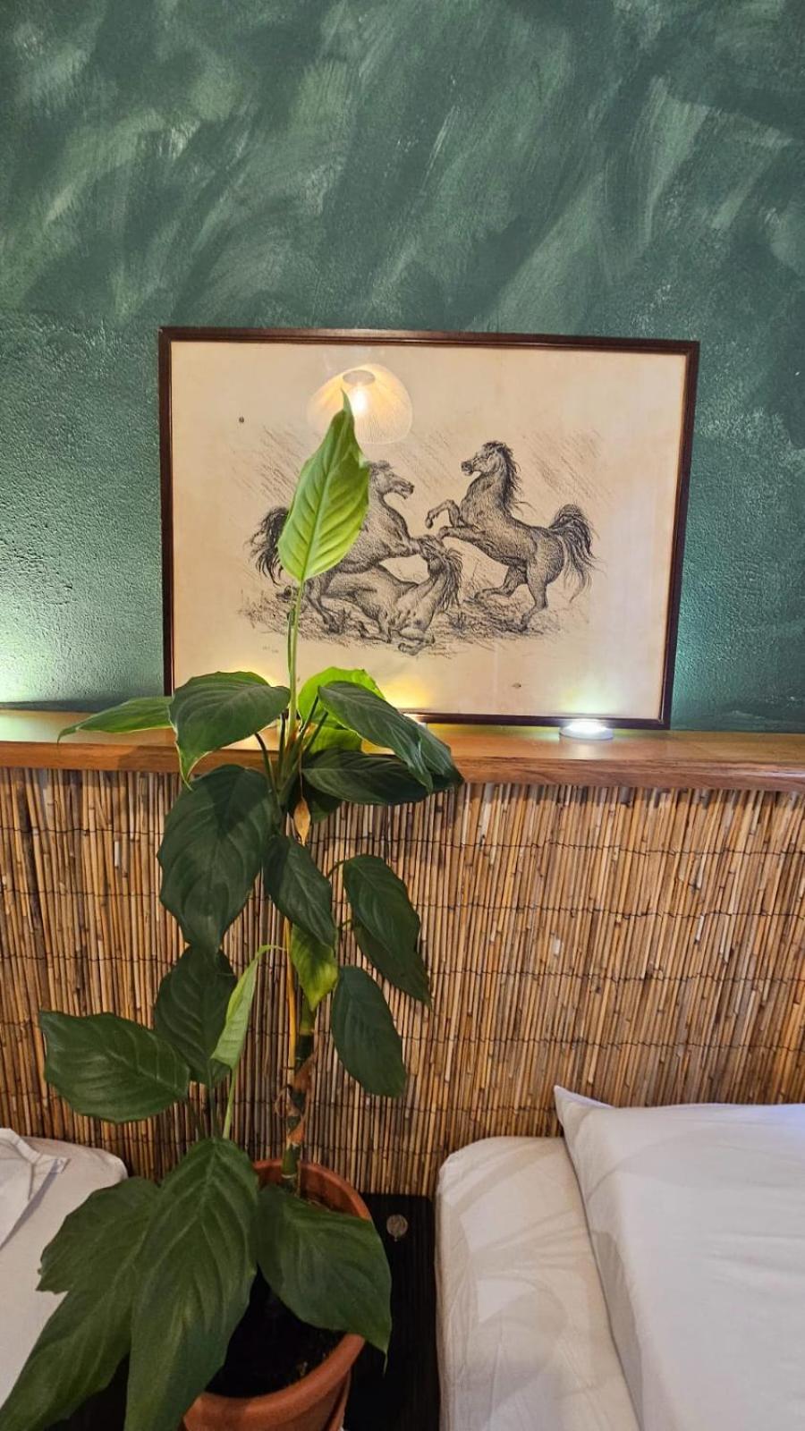 Unionbnb Apartments ティラナ エクステリア 写真